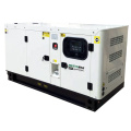 Gas/Natur-/Massenbiogas bürstenloser Lichtmaschine 15kVA 12 kW Generator